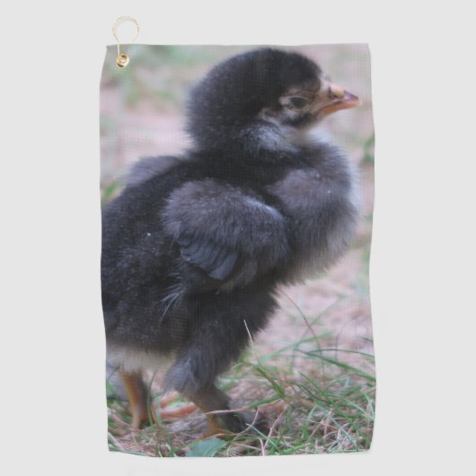 鶏，ひよこ，鶏，雛，動物，鳥。 ゴルフタオル (正面)
