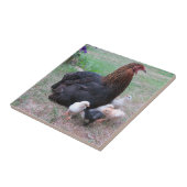 鶏，ひよこ，鶏，雛，動物，鳥。 タイル (側面)