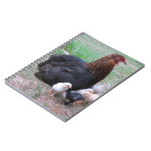 鶏，ひよこ，鶏，雛，動物，鳥。 ノートブック (左側)