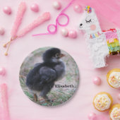 鶏，ひよこ，鶏，雛，動物，鳥。 ペーパープレート (パーティー)