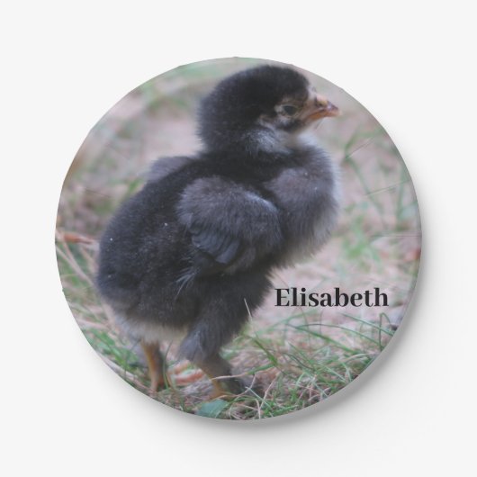 鶏，ひよこ，鶏，雛，動物，鳥。 ペーパープレート (正面)