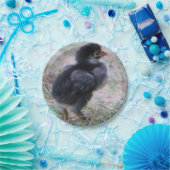 鶏，ひよこ，鶏，雛，動物，鳥。 ペーパープレート (パーティー)