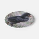 鶏，ひよこ，鶏，雛，動物，鳥。 ペーパープレート (アングル)
