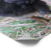 鶏，ひよこ，鶏，雛，動物，鳥。 ポスター (角)