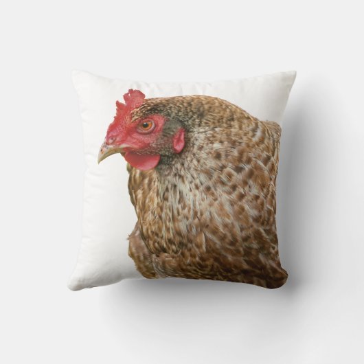 鶏 クッション (裏面)