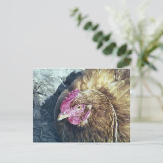 鶏 ポストカード (スタンド正面)