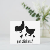 鶏 ポストカード (スタンド正面)