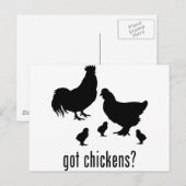 鶏 ポストカード (正面/裏面)