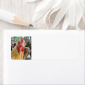 鶏 ラベル (インサイチュ)