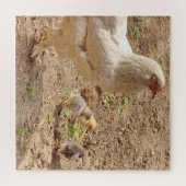 鶏,動物,雛,鳥,農場,かわいい,パズル ジグソーパズル (横)