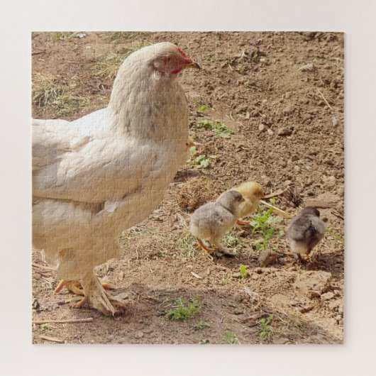 鶏,動物,雛,鳥,農場,かわいい,パズル ジグソーパズル (縦)