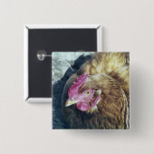 鶏 缶バッジ (正面&裏面)