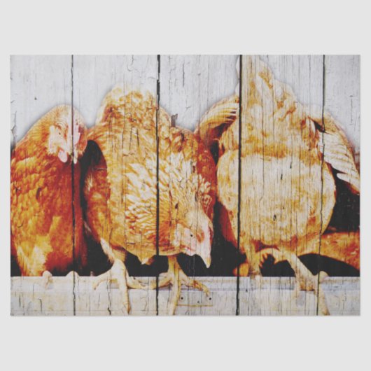 鶏 薄葉紙 (正面)