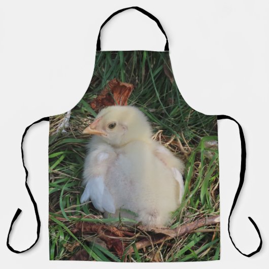 鶏,雛,牧場,動物,鳥,鳥獣,鶏,鶏 エプロン (正面)