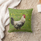 鶏,鶏,動物,鳥,農場,農業 クッション (ブランケット)