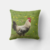 鶏,鶏,動物,鳥,農場,農業 クッション (裏面)