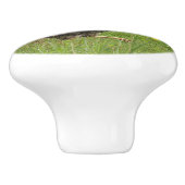 鶏，鶏，動物，鳥，農場，農業 セラミックノブ (側面)