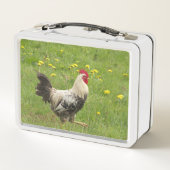 鶏，鶏，動物，鳥，農場，農業 メタルランチボックス (裏面)
