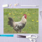 鶏，鶏，動物，鳥，農場，農業 薄葉紙 (クラフト)