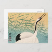 鶴2羽、1936年大原小村 ポストカード (正面/裏面)