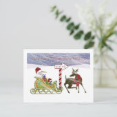 鷲および猫の北極のクリスマス シーズンポストカード (スタンド正面)