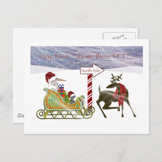 鷲および猫の北極のクリスマス シーズンポストカード (正面/裏面)
