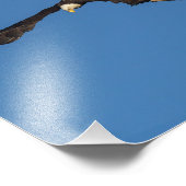 鷲が飛翔する フォトプリント            (角)