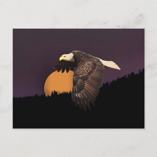 鷲と月 ポストカード (正面)