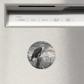 鷲のアニマルバード野鳥自然インクスケッチスタイル マグネット (インサイチュ (食洗機))