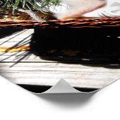 鷲のフクロウは食べ物を与えの時に雛を鳴らす ポスター (角)