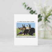 鷲の如く飛翔するのは懸命だ ポストカード (スタンド正面)