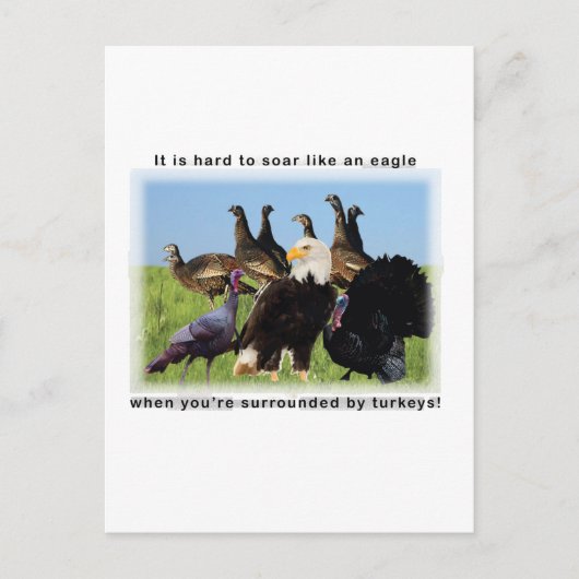 鷲の如く飛翔するのは懸命だ ポストカード (正面)