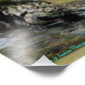 鷲の広がる翼 フォトプリント            (角)