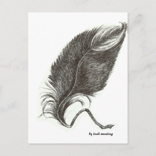 鷲の羽 ポストカード (正面)