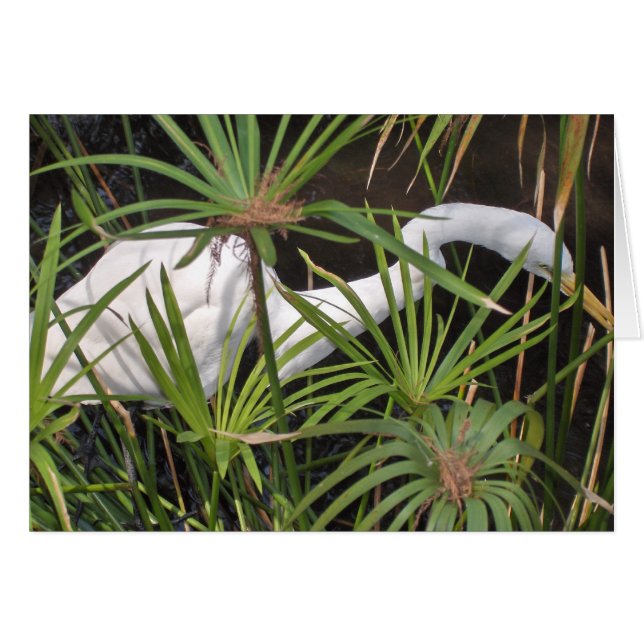 鷲カード (正面横)