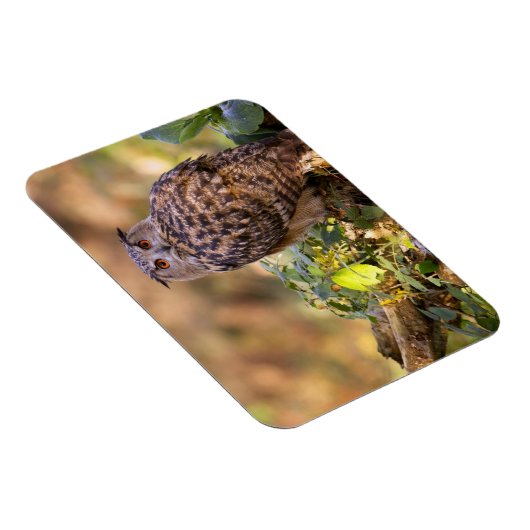 鷲フクロウ マグネット (右側)