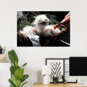 鷲食べ物を与えのフクロウの雛 ポスター (ホームオフィス)