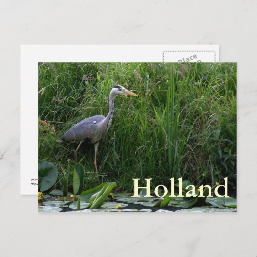 鷲 ポストカード (正面/裏面)