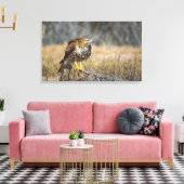 鷹の目 キャンバスプリント (インサイチュ (リビング))