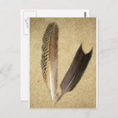 鷹の羽 ポストカード (正面/裏面)