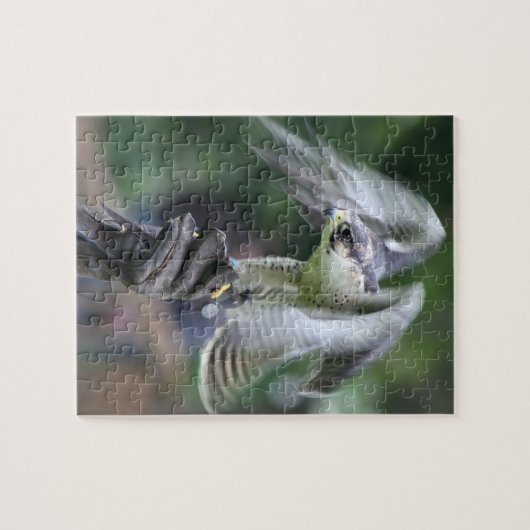 鷹狩 ジグソーパズル (横)