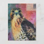 鷹 ポストカード (正面)