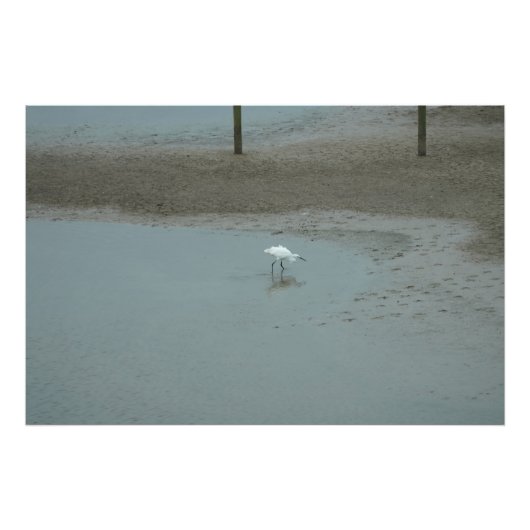 鷺の渉水 フォトプリント            (正面)
