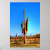 鷺麿 ポスター (正面)