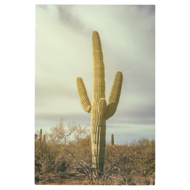 鷺麿 メタルプリント (正面)