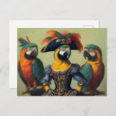 鸚鵡の海賊 ポストカード (正面/裏面)