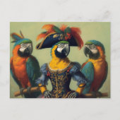 鸚鵡の海賊 ポストカード (正面)