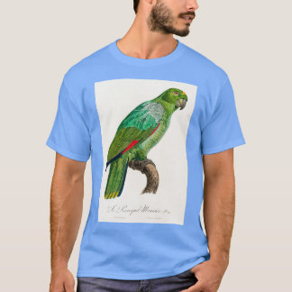 鸚鵡35 Tシャツ