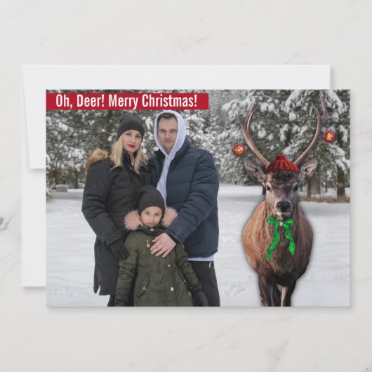 鹿おもしろいの写真とクリスマスのカスタム写真 シーズンカード (正面)