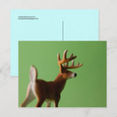 鹿お尻はがき ポストカード (正面/裏面)